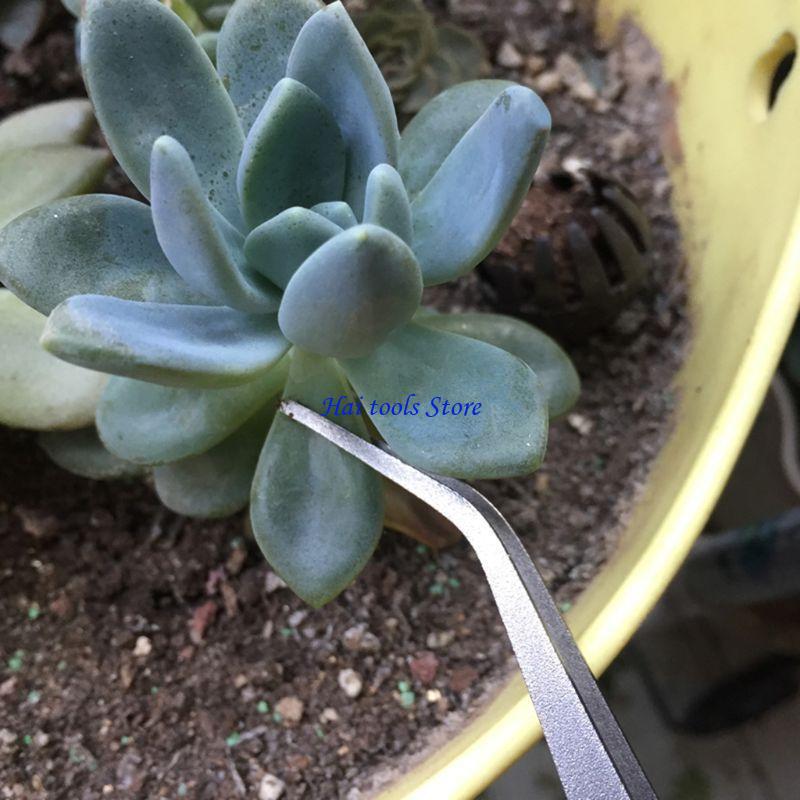 Bonsai Garden Shop - X37E Durable Gardening Rake Mini 2