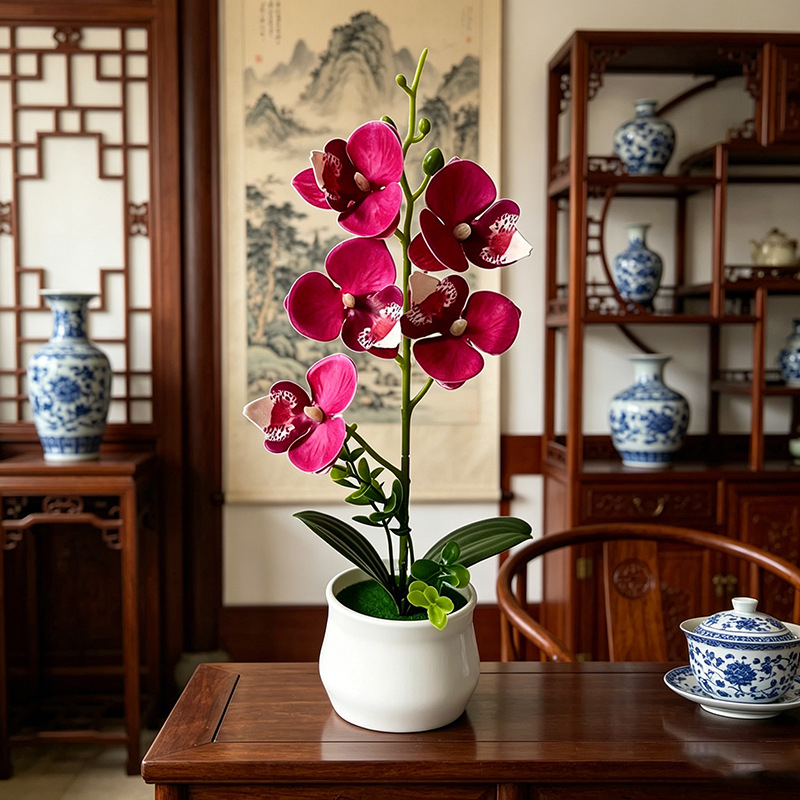 5 Flower Butterfly Orchid Simu - Bonsai Garden Layout ulasan dan harga