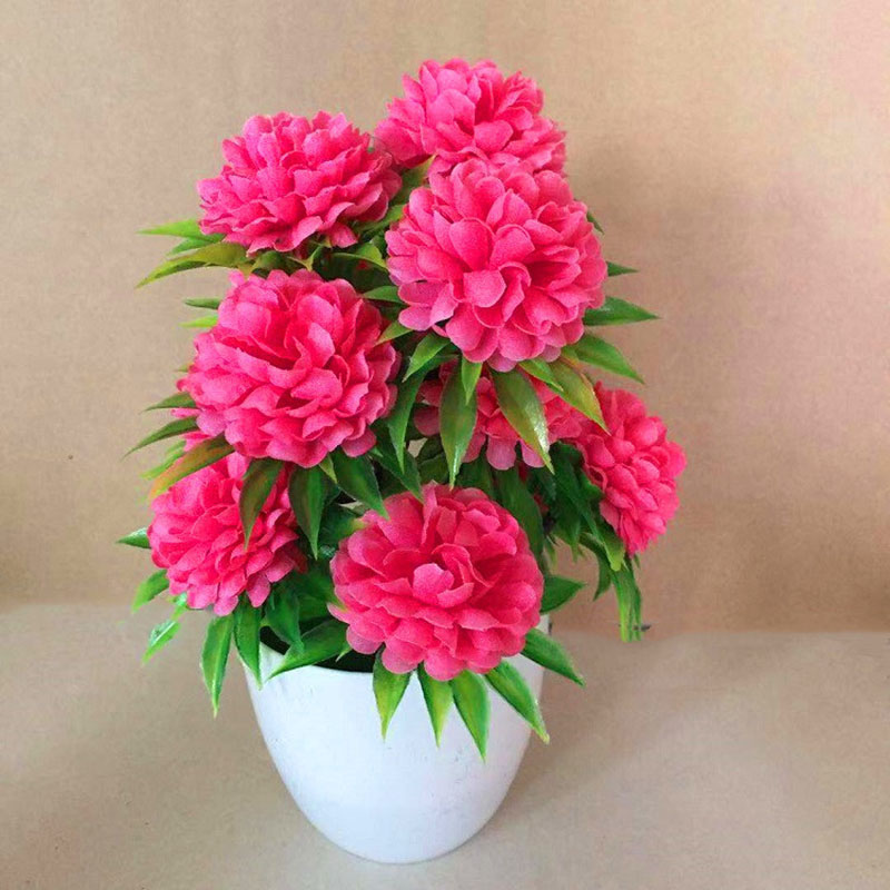 Beautiful Decoration Stylish A - Bonsai Garden Shop ulasan dan harga