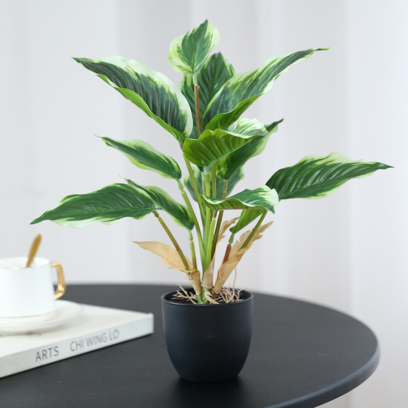 Simulation Green Plants Pothos - Bonsai Garden Layout ulasan dan harga