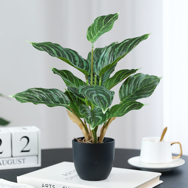 Simulation Green Plants Pothos - Bonsai Garden Layout ulasan dan harga