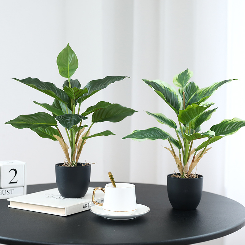 Simulation Green Plants Pothos - Bonsai Garden Layout ulasan dan harga