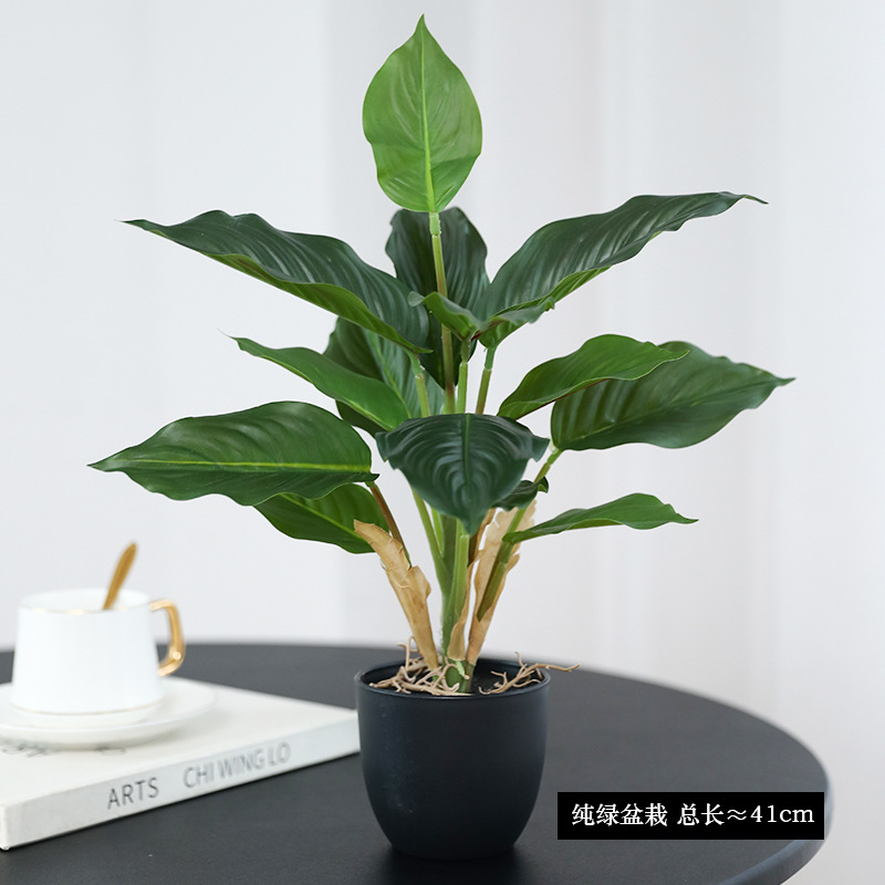 Simulation Green Plants Pothos - Bonsai Garden Layout ulasan dan harga