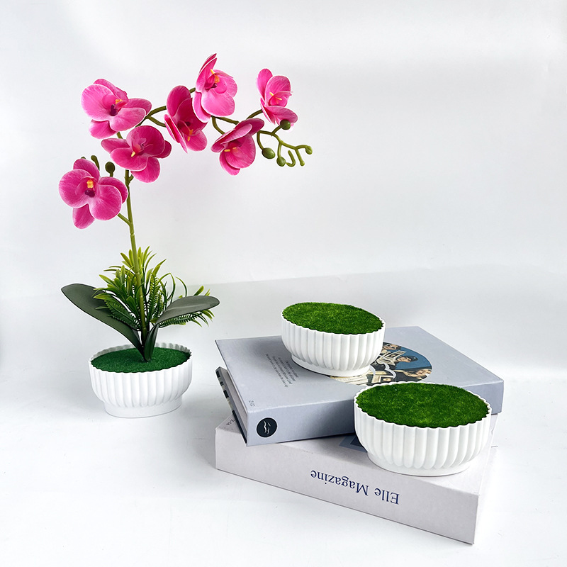 Simulated flowerpot corrosion- - Bonsai Garden Shop ulasan dan harga