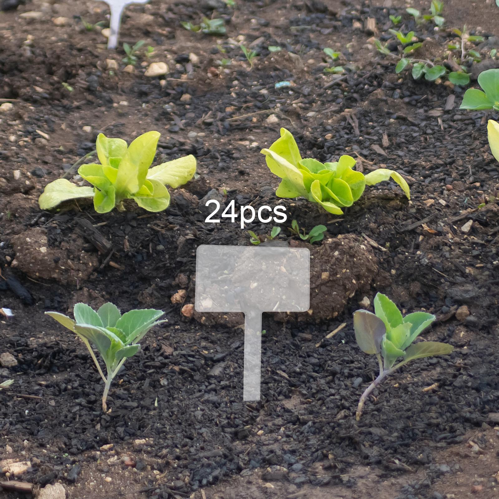 24x Acrylic Plant Tag Plant Na - Bonsai Garden Name ulasan dan harga