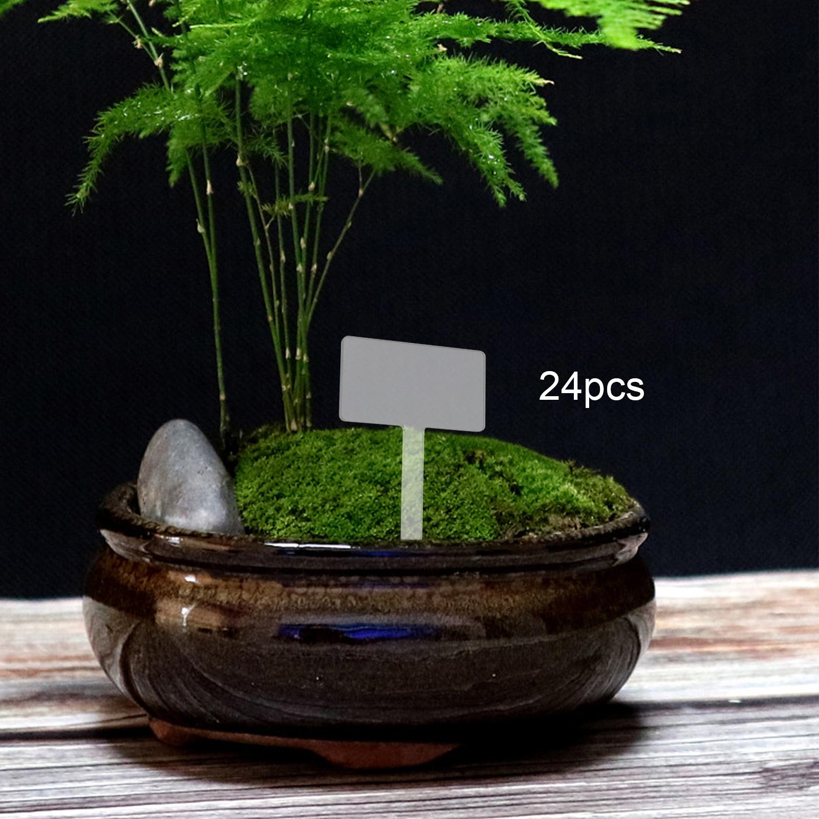 24x Acrylic Plant Tag Plant Na - Bonsai Garden Name ulasan dan harga